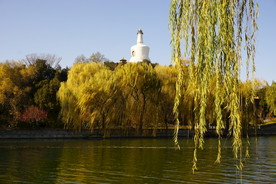 北海公园小白塔