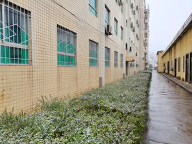 学校教学楼