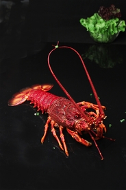 大龙虾
