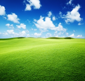 草原草地