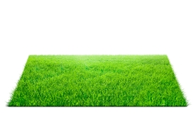 绿色草地