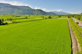 田地农田