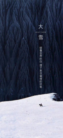 大雪海报