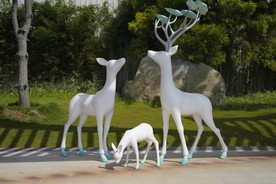 白色鹿