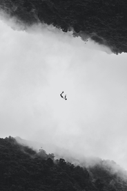 雾气