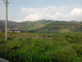 旅游区