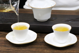 普洱茶生茶