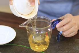 普洱茶生茶