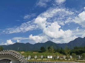 抓拍