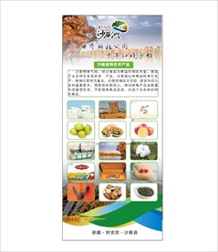 沙雅特产展架 沙雁洲