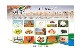沙雅县特产 沙雁洲
