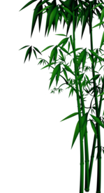 竹子素材