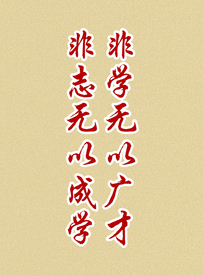 非学无以广才