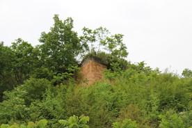 长城风景