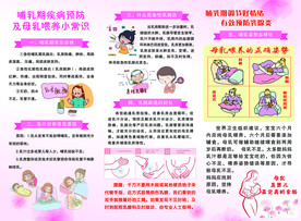 哺乳彩页背
