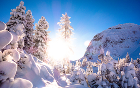 雪景 风景