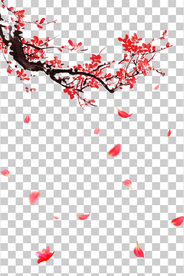 透明底梅花