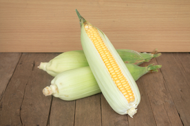 玉米