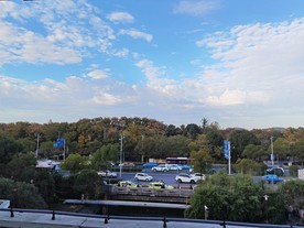 城市
