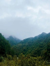 雾蒙蒙的山