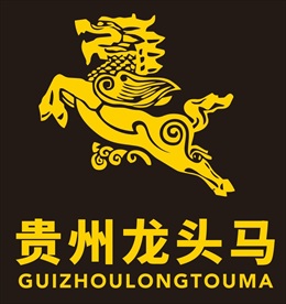 贵州龙头马