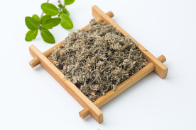 茵陈