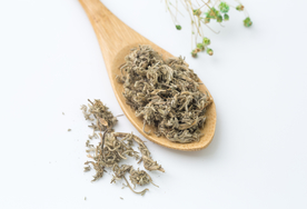 茵陈
