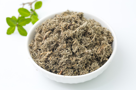 茵陈