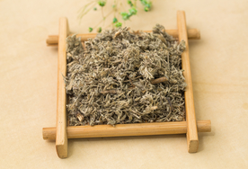茵陈