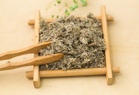 茵陈