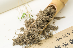 茵陈
