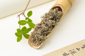茵陈