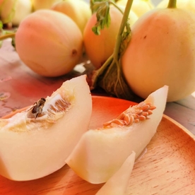 香瓜蜜瓜甜瓜