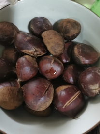 板栗