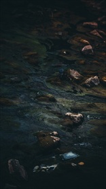 干涸的河流