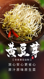 黄豆芽食材宣传活动海报素材
