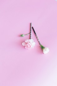 粉红色的花