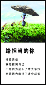给担当的你