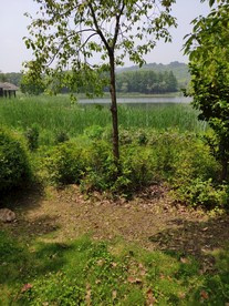 马山风景