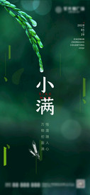 小满节气海报