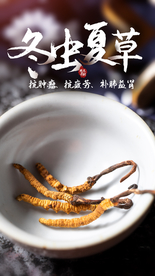 冬虫夏草养生宣传活动海报素材