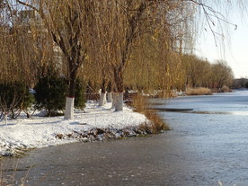 雪 绿柳 湖