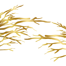 金色树枝元素