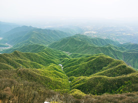 山景