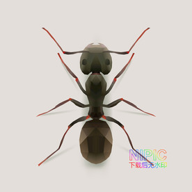 马模版eps鹿动物大全模板猫