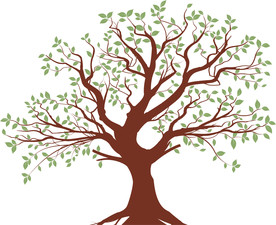 硅藻泥客厅电视背景墙贴