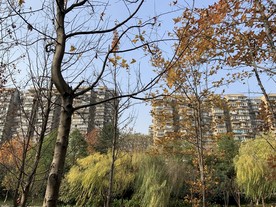 小河边