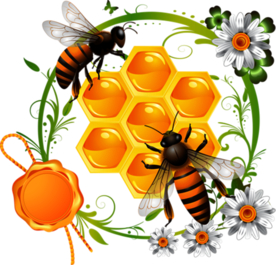 蜜蜂