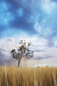 蓝天 白云 蓝天白云 天空 简