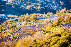 坝达梯田风光